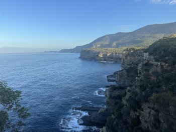 IMG_7111.jpeg