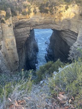 IMG_7110.jpeg
