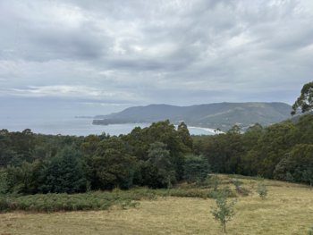 IMG_7102.jpeg