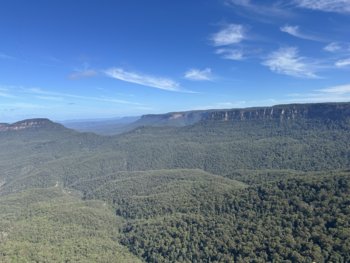 IMG_7084.jpeg