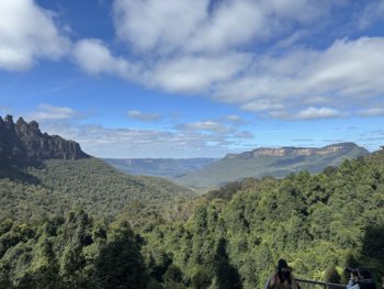 IMG_7072.jpeg
