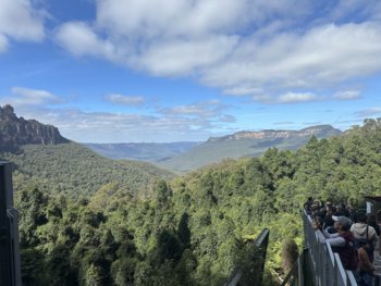 IMG_7070.jpeg