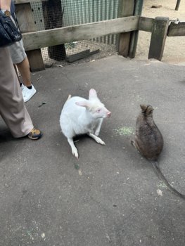 IMG_7051.jpeg