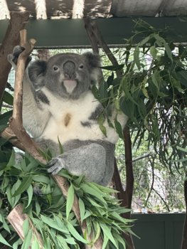 IMG_7048.jpeg