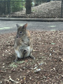 IMG_7044.jpeg