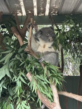 IMG_7046.jpeg