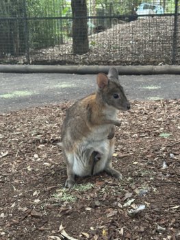 IMG_7042.jpeg