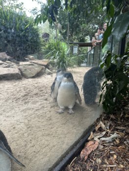 IMG_7057.jpeg