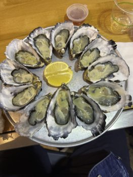 IMG_7100.jpeg