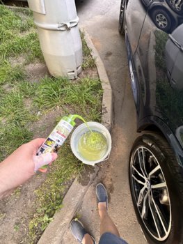 IMG_5794.jpeg