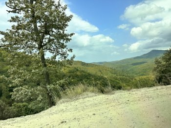 IMG_4444.jpeg