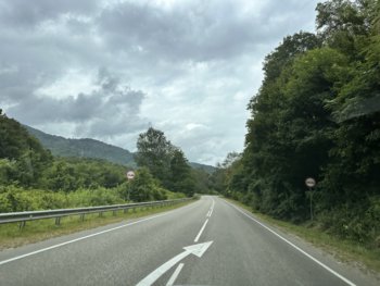 IMG_4463.jpeg