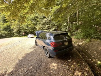 IMG_4459.jpeg