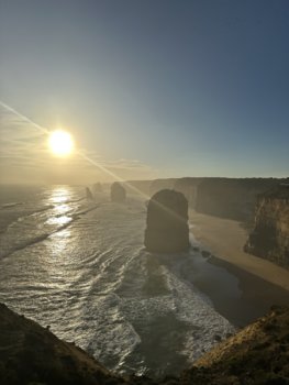IMG_7272.jpeg