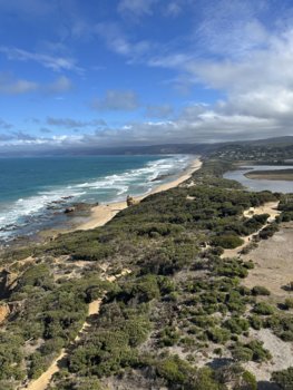 IMG_7243.jpeg