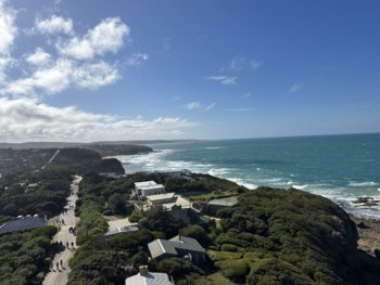 IMG_7242.jpeg
