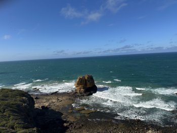 IMG_7240.jpeg