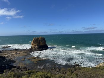 IMG_7234.jpeg