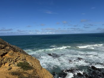 IMG_7230.jpeg