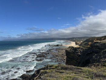 IMG_7228.jpeg