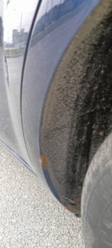 IMG20250429174941.jpg