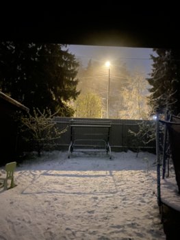 IMG_2087.jpeg