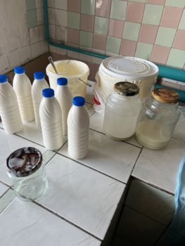 IMG_7444.jpeg