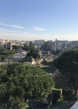 IMG_8696.jpeg