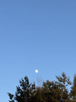 IMG_0663.jpeg