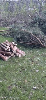 IMG_0664.jpeg