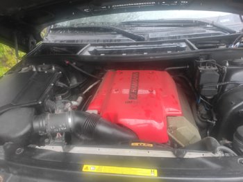 08344eae-0fb2-4af5-9fc2-180f64af71f2.jpg