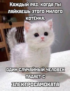 IMG_20250519_124827_789.jpg