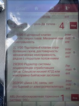 IMG_7003.jpeg