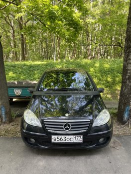 IMG_7958.jpeg