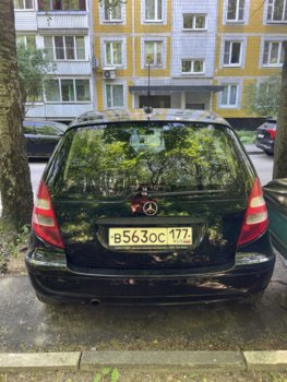 IMG_7962.jpeg