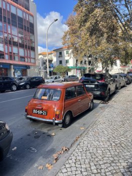 IMG_8995.jpeg