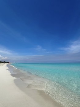 IMG_8267.jpeg