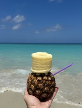 IMG_7973.jpeg