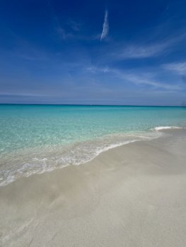IMG_5441.jpeg