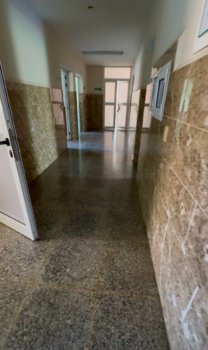IMG_8558.jpeg