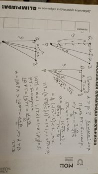 scale_2400 (9).jpeg