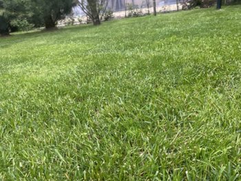 IMG_7300.jpeg