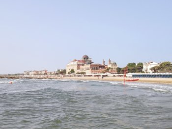 IMG_20250612_100210.jpg