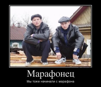 14087180.jpeg