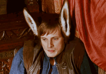 IMG_0613.gif