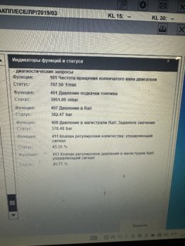 IMG_9147.jpeg