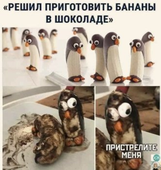 IMG_0647.jpeg