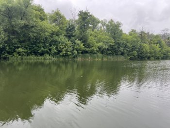 IMG_0785.jpeg