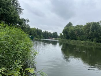 IMG_0784.jpeg
