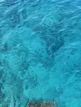 IMG_2581.jpeg